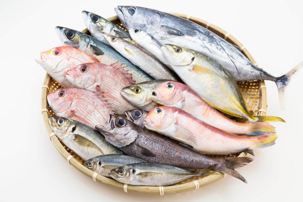 季節の魚図鑑～1年中楽しめる日本のおいしい魚
